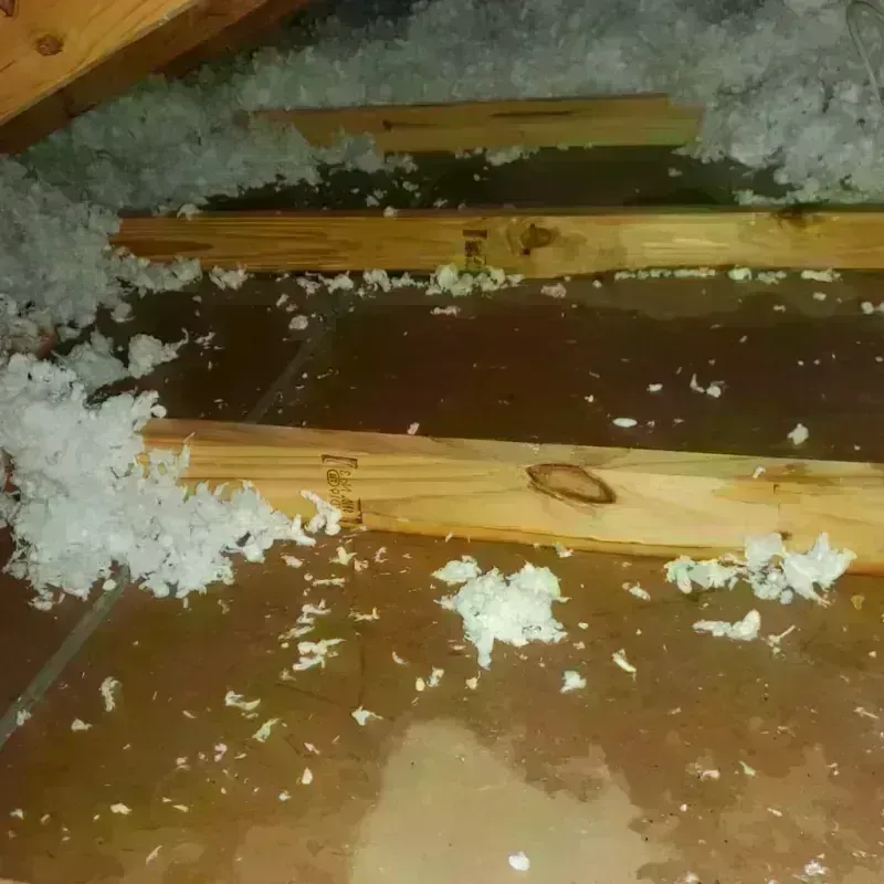 Attic Water Damage in Jurupa Valley, CA